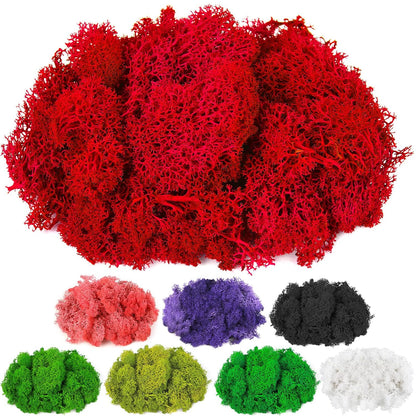 Moss Preserved, 4 OZ Fake Reindeer Moss for Potted Plants for Craft Arts Floral Wall Decor Wedding Centerpieces Fairy Garden Artificial Terrariums Decoration for Christmas(Black)