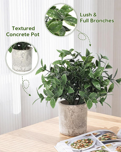 2 Pcs Small Fake Plants Eucalyptus, Artificial Plants Indoor for Shelf, Potted Eucalyptus Plants for Home/Bathroom/Pottery Barn/Desk/Farmhouse/Coffee Table Decor (Sage Green)