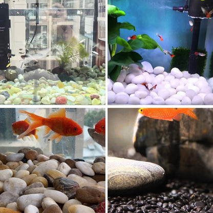 YISZM 5lbs White River Rocks, 1-2 Inch Natural Pebbles for Indoor Plants, High Polished Decorative Stones Vase Filler Fish Tank Aquariums Landscaping Garden Outdoor and Indoor DIY