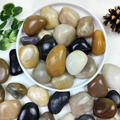 YISZM 5lbs White River Rocks, 1-2 Inch Natural Pebbles for Indoor Plants, High Polished Decorative Stones Vase Filler Fish Tank Aquariums Landscaping Garden Outdoor and Indoor DIY