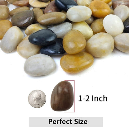YISZM 5lbs White River Rocks, 1-2 Inch Natural Pebbles for Indoor Plants, High Polished Decorative Stones Vase Filler Fish Tank Aquariums Landscaping Garden Outdoor and Indoor DIY