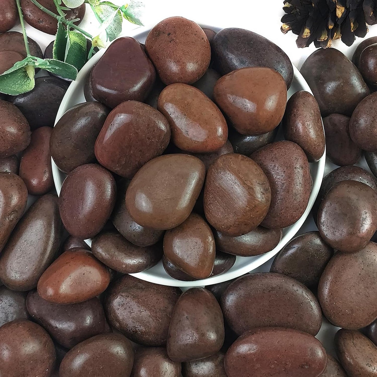 YISZM 5lbs White River Rocks, 1-2 Inch Natural Pebbles for Indoor Plants, High Polished Decorative Stones Vase Filler Fish Tank Aquariums Landscaping Garden Outdoor and Indoor DIY