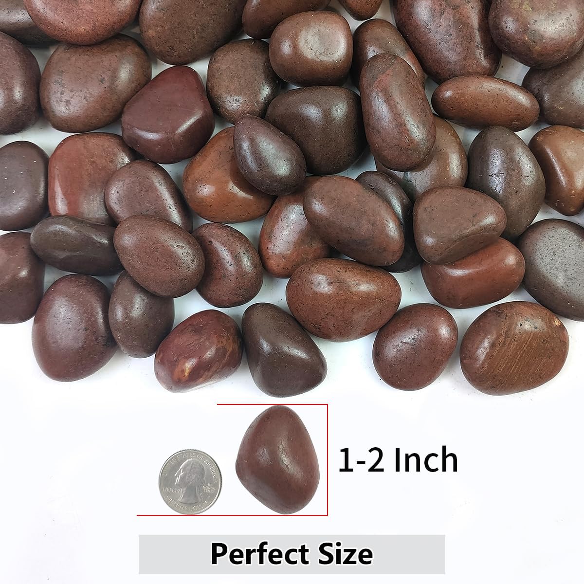 YISZM 5lbs White River Rocks, 1-2 Inch Natural Pebbles for Indoor Plants, High Polished Decorative Stones Vase Filler Fish Tank Aquariums Landscaping Garden Outdoor and Indoor DIY