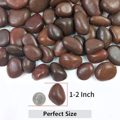YISZM 5lbs White River Rocks, 1-2 Inch Natural Pebbles for Indoor Plants, High Polished Decorative Stones Vase Filler Fish Tank Aquariums Landscaping Garden Outdoor and Indoor DIY