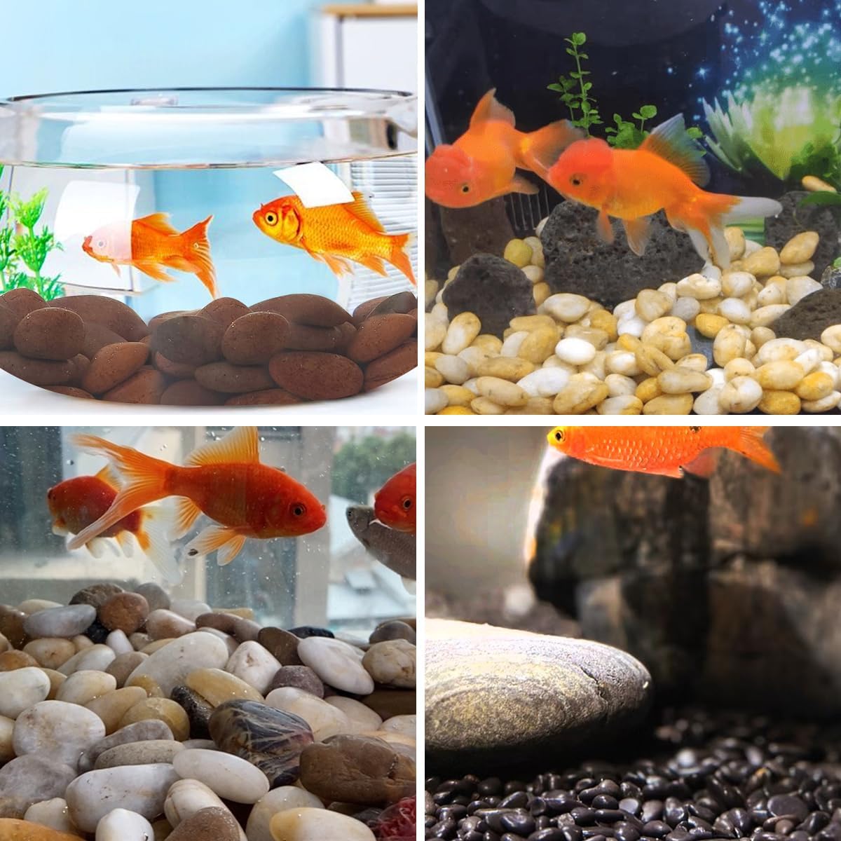 YISZM 5lbs White River Rocks, 1-2 Inch Natural Pebbles for Indoor Plants, High Polished Decorative Stones Vase Filler Fish Tank Aquariums Landscaping Garden Outdoor and Indoor DIY