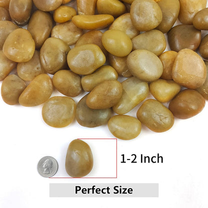 YISZM 5lbs White River Rocks, 1-2 Inch Natural Pebbles for Indoor Plants, High Polished Decorative Stones Vase Filler Fish Tank Aquariums Landscaping Garden Outdoor and Indoor DIY