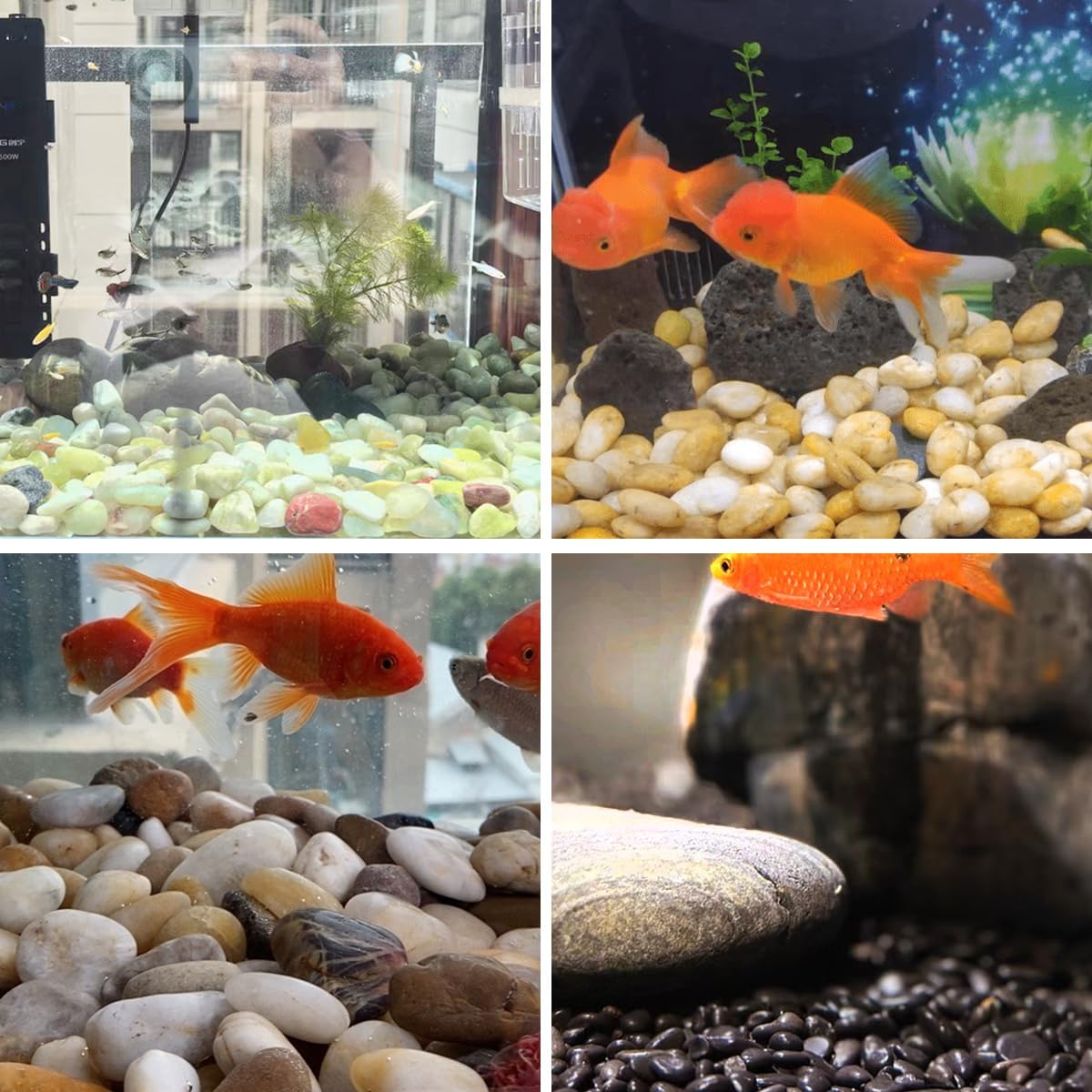 YISZM 5lbs White River Rocks, 1-2 Inch Natural Pebbles for Indoor Plants, High Polished Decorative Stones Vase Filler Fish Tank Aquariums Landscaping Garden Outdoor and Indoor DIY