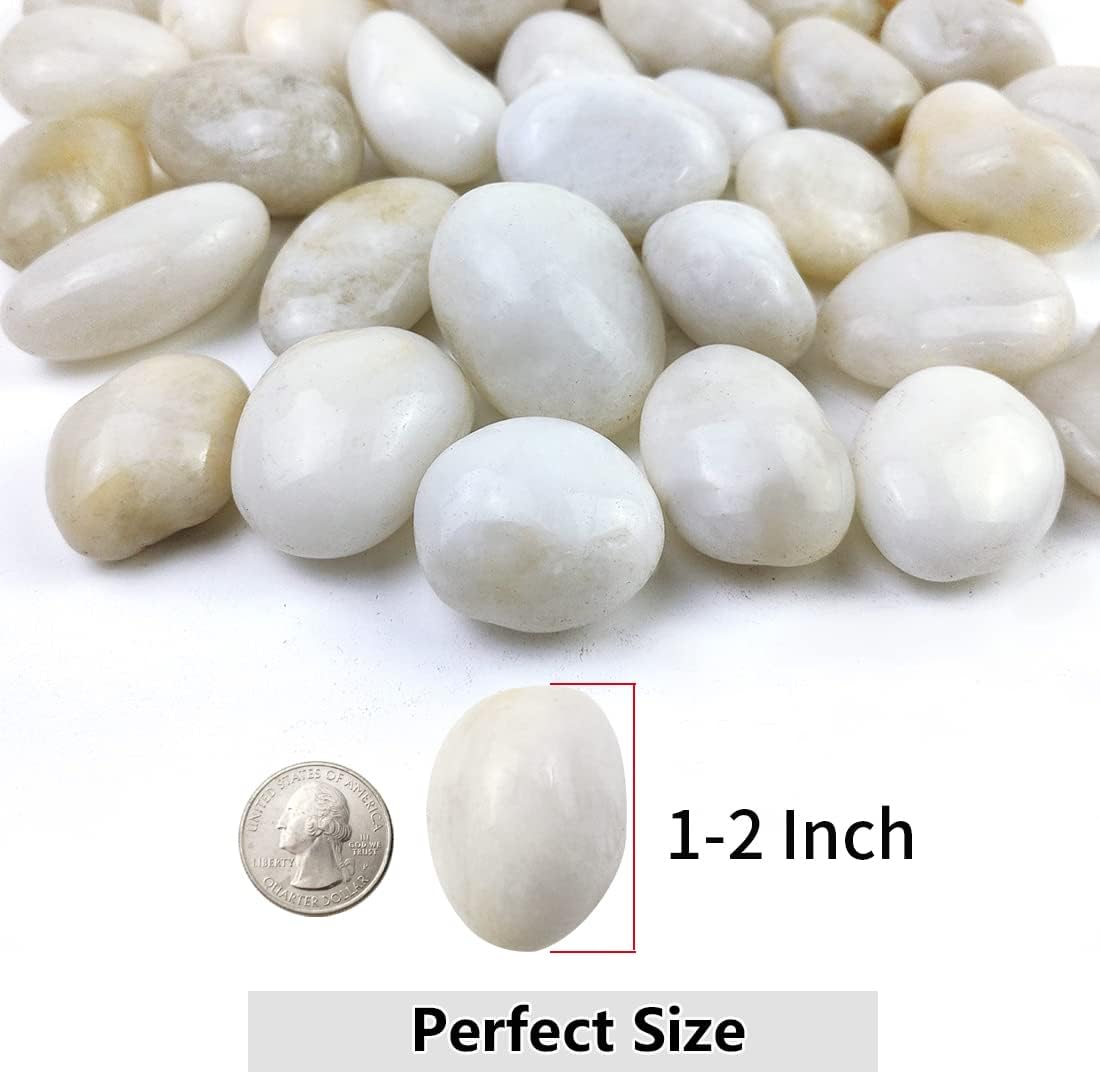 YISZM 5lbs White River Rocks, 1-2 Inch Natural Pebbles for Indoor Plants, High Polished Decorative Stones Vase Filler Fish Tank Aquariums Landscaping Garden Outdoor and Indoor DIY