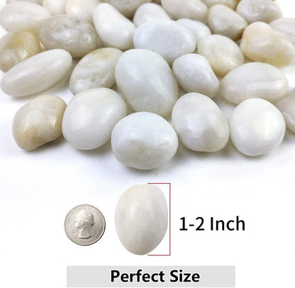 YISZM 5lbs White River Rocks, 1-2 Inch Natural Pebbles for Indoor Plants, High Polished Decorative Stones Vase Filler Fish Tank Aquariums Landscaping Garden Outdoor and Indoor DIY