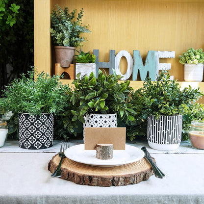 3-Pack Artificial Potted Plants - Faux Eucalyptus, Rosemary, Boxwood Greenery in Small Black & White Geometric Concrete Pots -Desk, Table, Shelf, Windowsill Decor for Indoor Outdoor Home Office