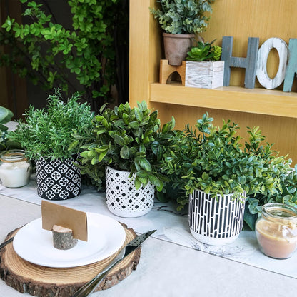 3-Pack Artificial Potted Plants - Faux Eucalyptus, Rosemary, Boxwood Greenery in Small Black & White Geometric Concrete Pots -Desk, Table, Shelf, Windowsill Decor for Indoor Outdoor Home Office