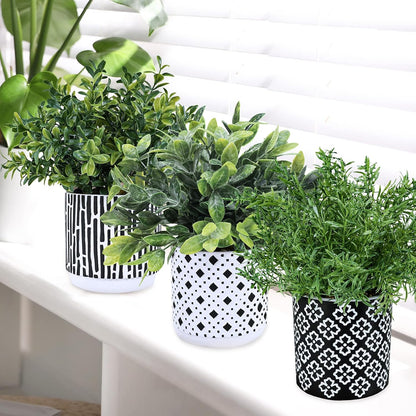 3-Pack Artificial Potted Plants - Faux Eucalyptus, Rosemary, Boxwood Greenery in Small Black & White Geometric Concrete Pots -Desk, Table, Shelf, Windowsill Decor for Indoor Outdoor Home Office