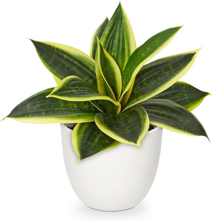 Artificial Snake Plants 9" Faux Agave Succulent Plant Potted in Black Pot Fake Sansevieria Aloe Tropical Plant for Desk Modern Office Home Bathroom Indoor Outdoor Decor