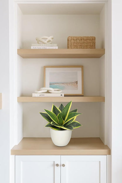 Artificial Snake Plants 9" Faux Agave Succulent Plant Potted in Black Pot Fake Sansevieria Aloe Tropical Plant for Desk Modern Office Home Bathroom Indoor Outdoor Decor