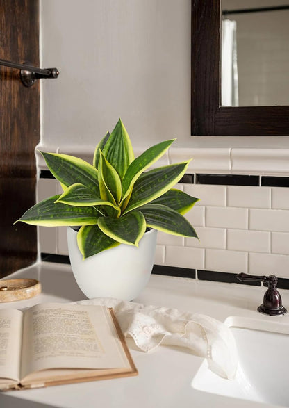 Artificial Snake Plants 9" Faux Agave Succulent Plant Potted in Black Pot Fake Sansevieria Aloe Tropical Plant for Desk Modern Office Home Bathroom Indoor Outdoor Decor