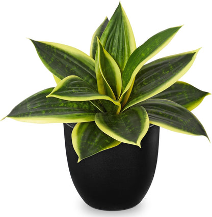 Artificial Snake Plants 9" Faux Agave Succulent Plant Potted in Black Pot Fake Sansevieria Aloe Tropical Plant for Desk Modern Office Home Bathroom Indoor Outdoor Decor