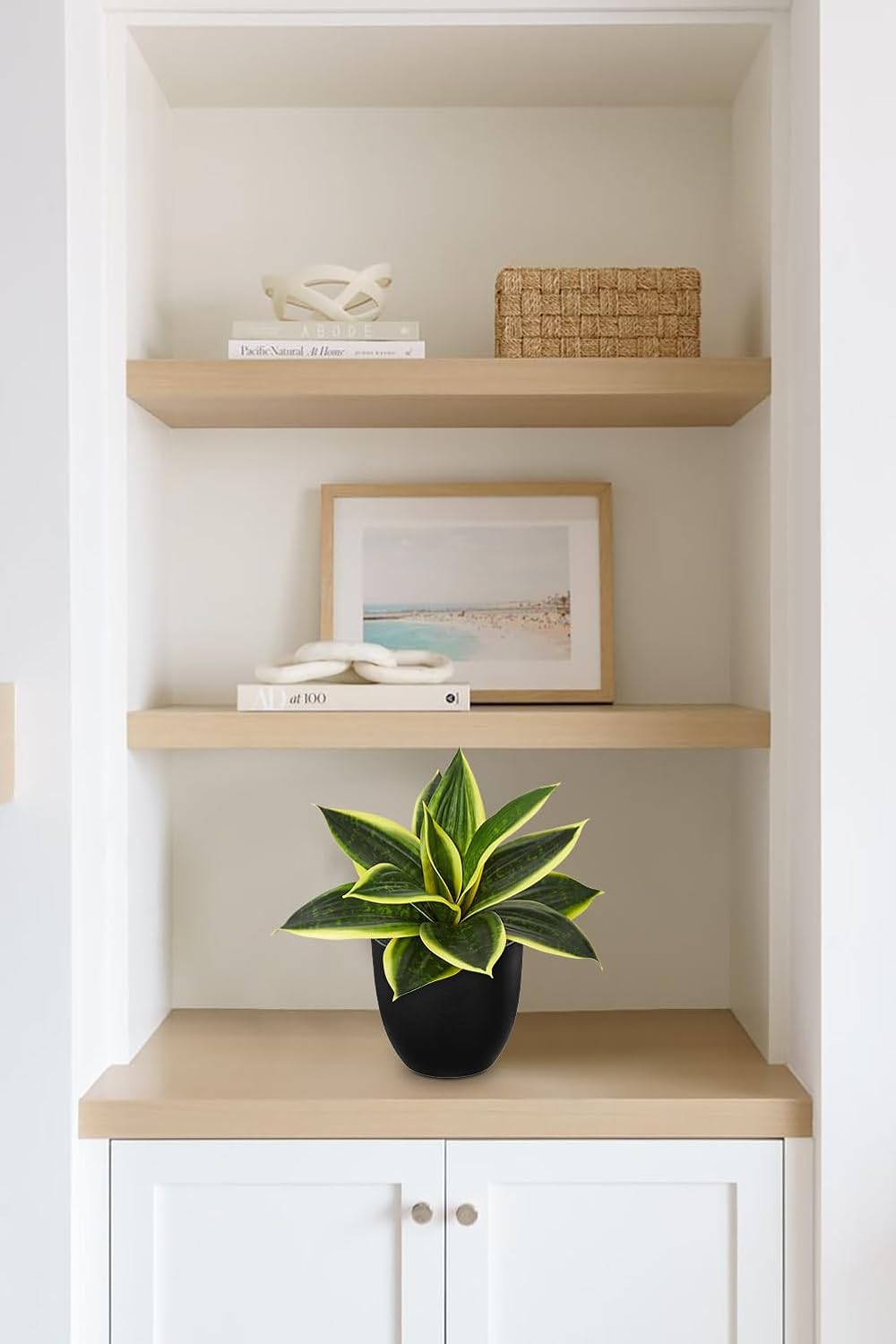 Artificial Snake Plants 9" Faux Agave Succulent Plant Potted in Black Pot Fake Sansevieria Aloe Tropical Plant for Desk Modern Office Home Bathroom Indoor Outdoor Decor