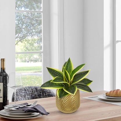 Artificial Snake Plants 9" Faux Agave Succulent Plant Potted in Black Pot Fake Sansevieria Aloe Tropical Plant for Desk Modern Office Home Bathroom Indoor Outdoor Decor