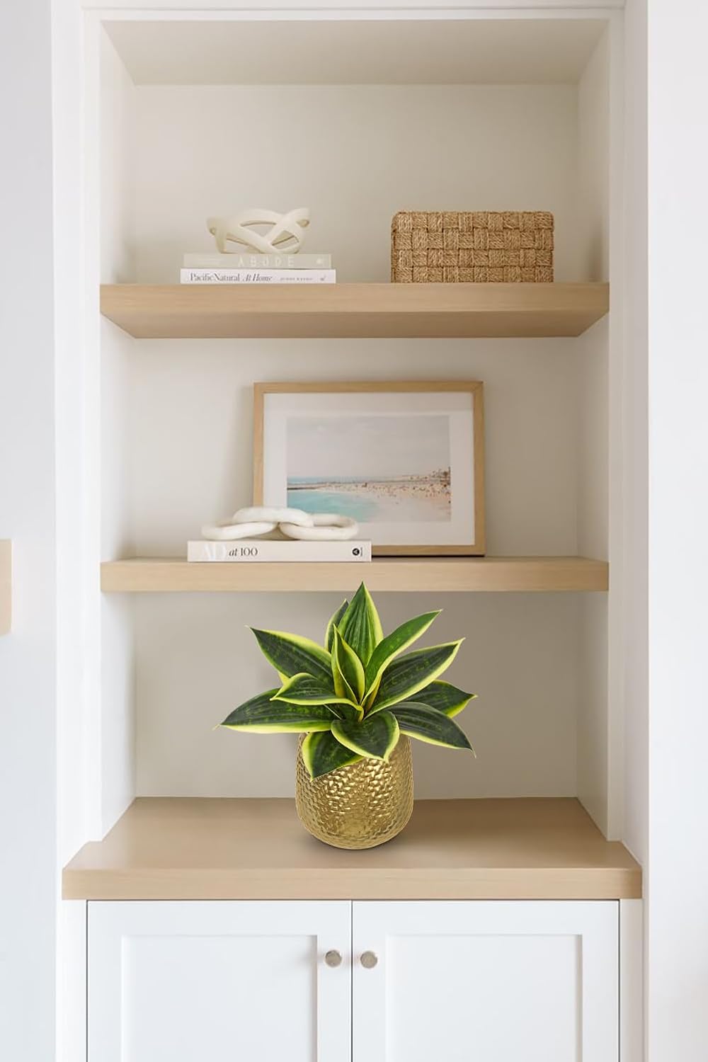 Artificial Snake Plants 9" Faux Agave Succulent Plant Potted in Black Pot Fake Sansevieria Aloe Tropical Plant for Desk Modern Office Home Bathroom Indoor Outdoor Decor
