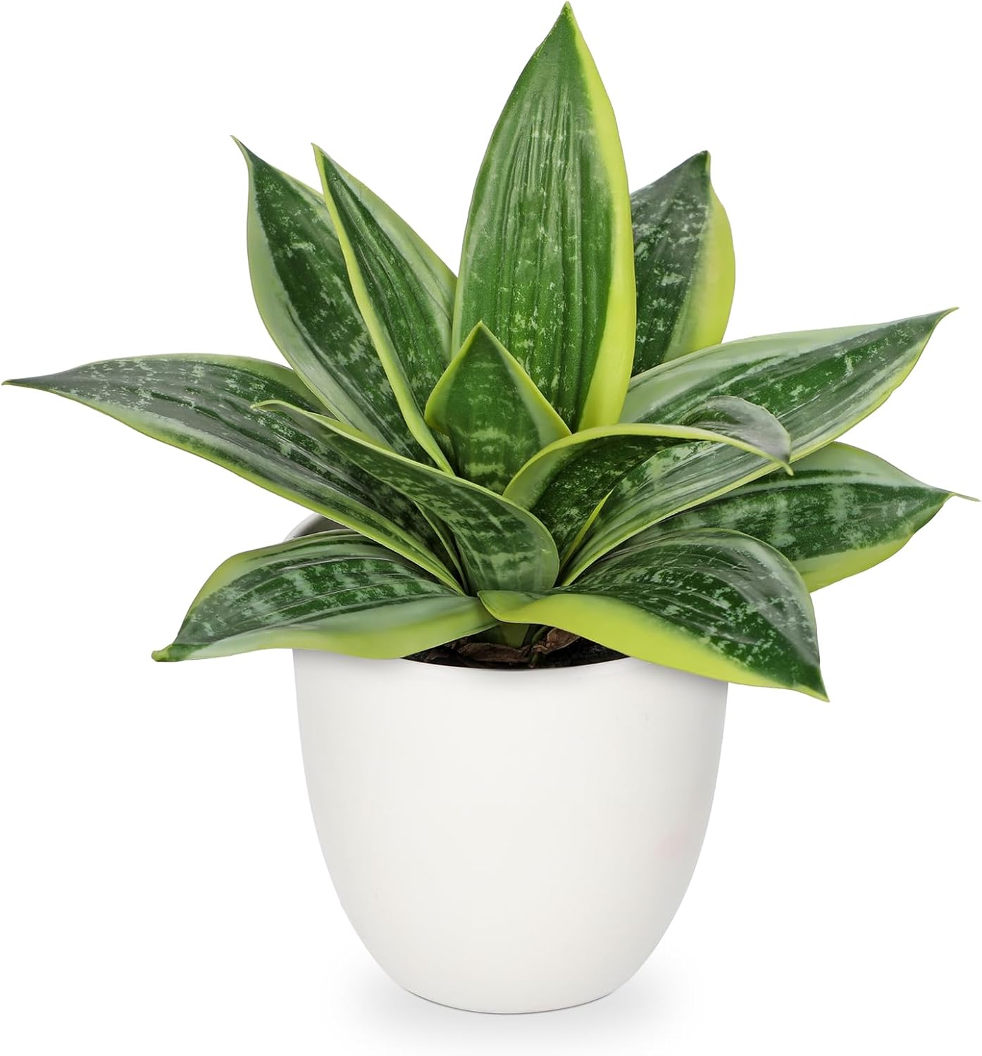 Artificial Snake Plants 9" Faux Agave Succulent Plant Potted in Black Pot Fake Sansevieria Aloe Tropical Plant for Desk Modern Office Home Bathroom Indoor Outdoor Decor