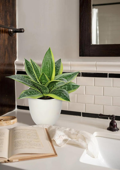 Artificial Snake Plants 9" Faux Agave Succulent Plant Potted in Black Pot Fake Sansevieria Aloe Tropical Plant for Desk Modern Office Home Bathroom Indoor Outdoor Decor