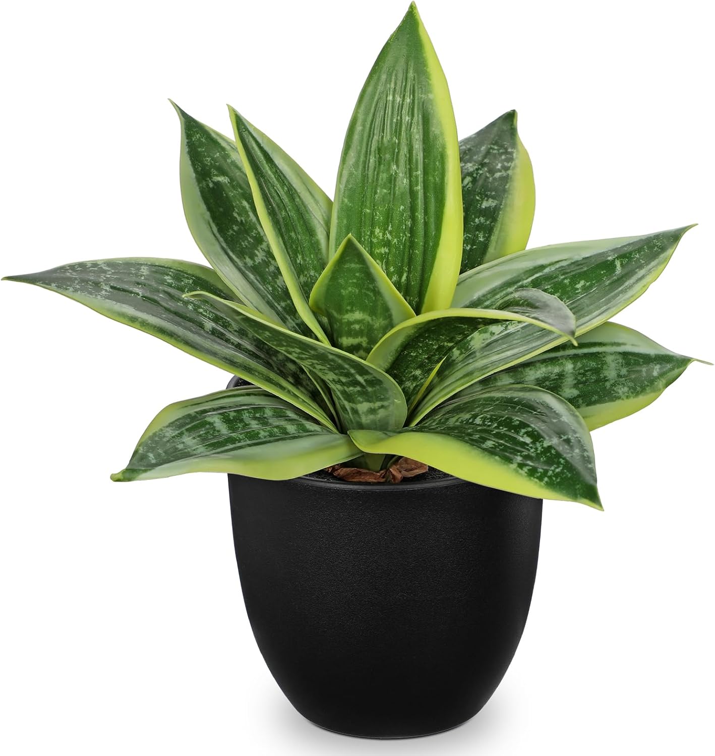 Artificial Snake Plants 9" Faux Agave Succulent Plant Potted in Black Pot Fake Sansevieria Aloe Tropical Plant for Desk Modern Office Home Bathroom Indoor Outdoor Decor