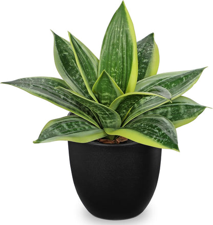 Artificial Snake Plants 9" Faux Agave Succulent Plant Potted in Black Pot Fake Sansevieria Aloe Tropical Plant for Desk Modern Office Home Bathroom Indoor Outdoor Decor