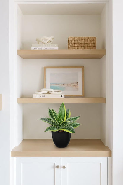 Artificial Snake Plants 9" Faux Agave Succulent Plant Potted in Black Pot Fake Sansevieria Aloe Tropical Plant for Desk Modern Office Home Bathroom Indoor Outdoor Decor