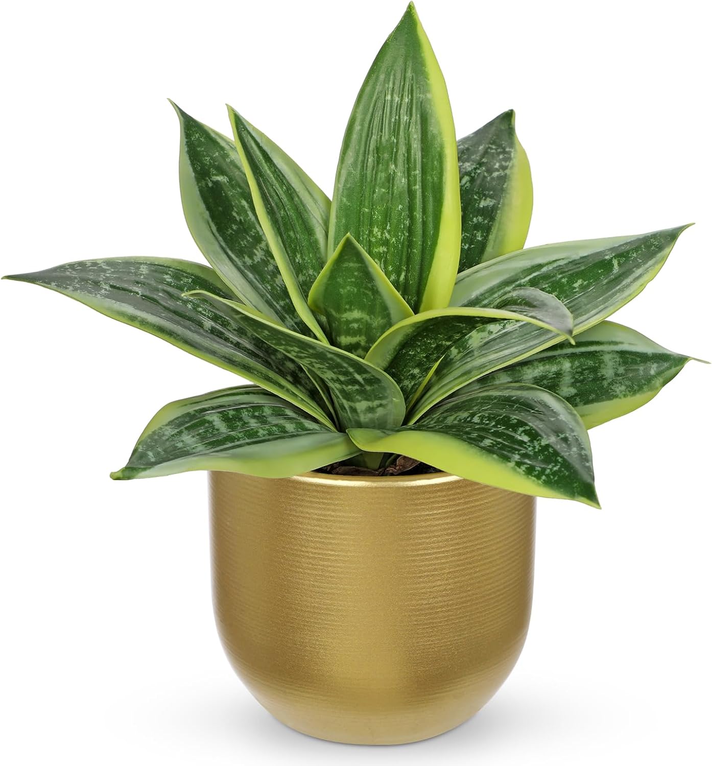 Artificial Snake Plants 9" Faux Agave Succulent Plant Potted in Black Pot Fake Sansevieria Aloe Tropical Plant for Desk Modern Office Home Bathroom Indoor Outdoor Decor