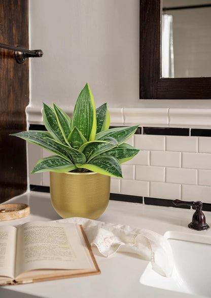 Artificial Snake Plants 9" Faux Agave Succulent Plant Potted in Black Pot Fake Sansevieria Aloe Tropical Plant for Desk Modern Office Home Bathroom Indoor Outdoor Decor
