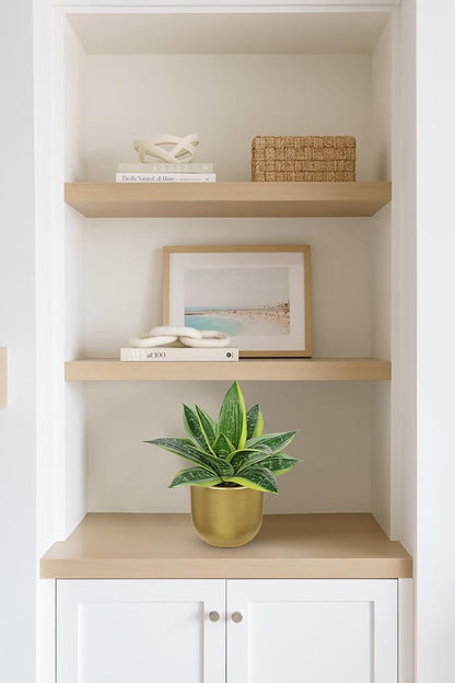 Artificial Snake Plants 9" Faux Agave Succulent Plant Potted in Black Pot Fake Sansevieria Aloe Tropical Plant for Desk Modern Office Home Bathroom Indoor Outdoor Decor