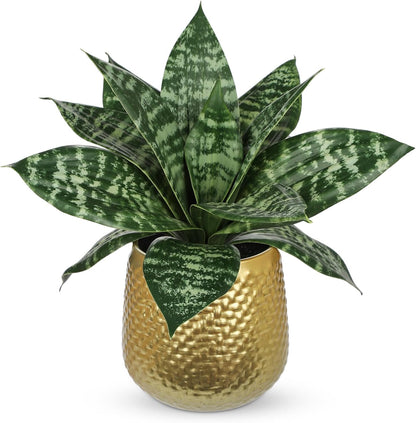 Artificial Snake Plants 9" Faux Agave Succulent Plant Potted in Black Pot Fake Sansevieria Aloe Tropical Plant for Desk Modern Office Home Bathroom Indoor Outdoor Decor
