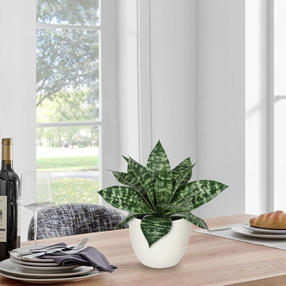 Artificial Snake Plants 9" Faux Agave Succulent Plant Potted in Black Pot Fake Sansevieria Aloe Tropical Plant for Desk Modern Office Home Bathroom Indoor Outdoor Decor