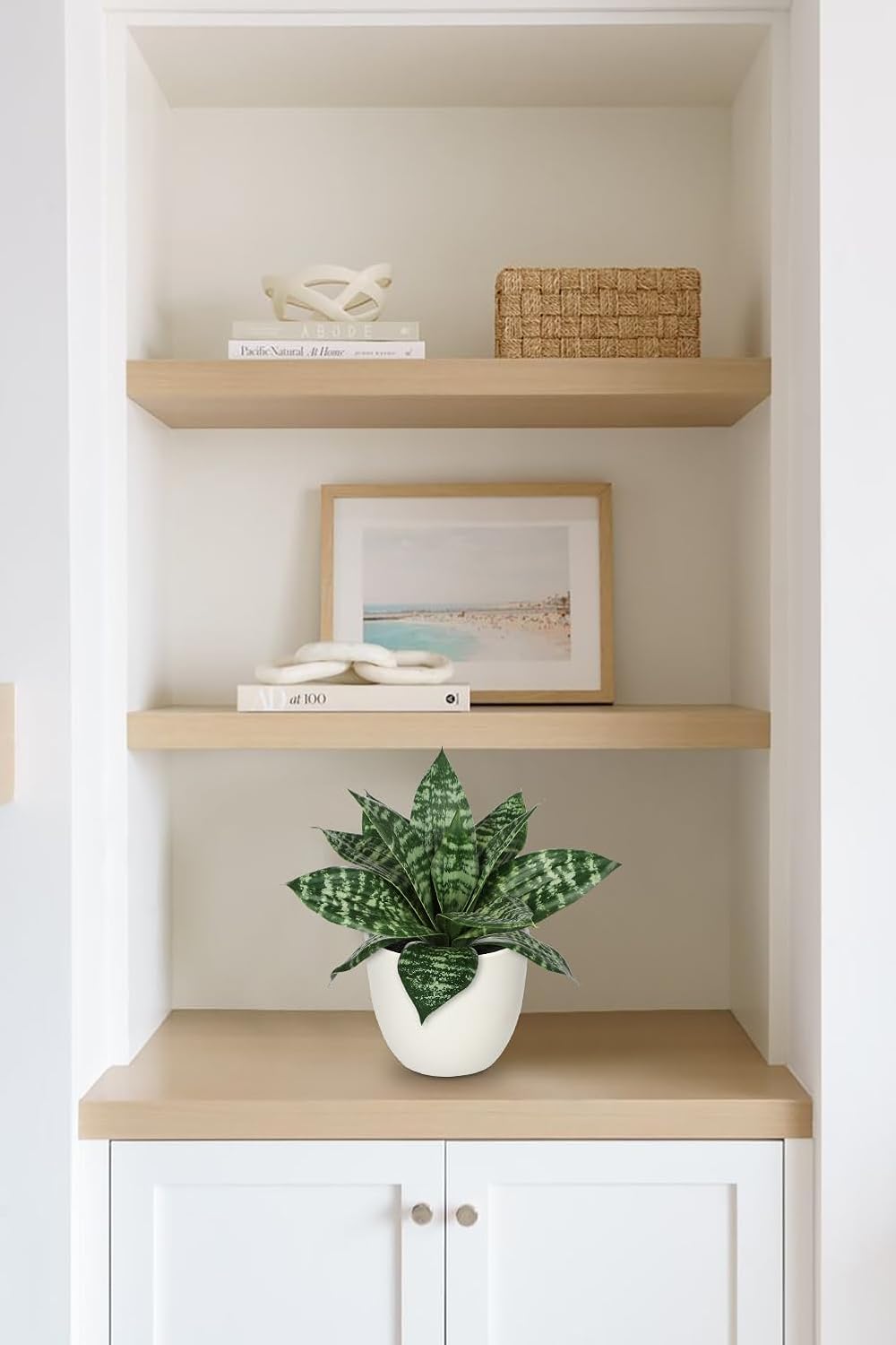 Artificial Snake Plants 9" Faux Agave Succulent Plant Potted in Black Pot Fake Sansevieria Aloe Tropical Plant for Desk Modern Office Home Bathroom Indoor Outdoor Decor