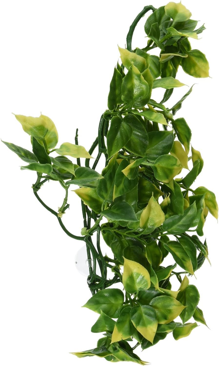 Plastic Terrarium Plant, Small, Mandarin