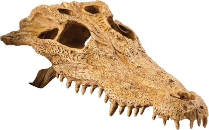 T-Rex Skull Terrarium Decor