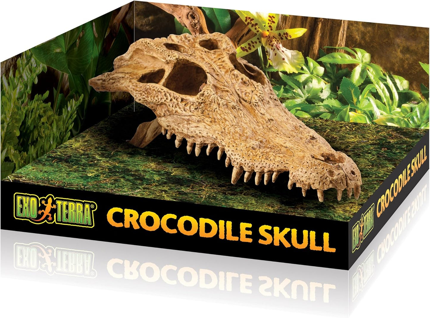 T-Rex Skull Terrarium Decor