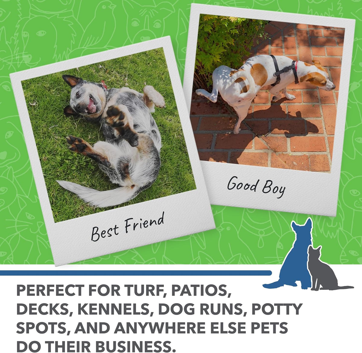 Turf + Outdoor Odor and Stain Remover, Enzyme Cleaner for Dog, Cat & Animal Urine, Eliminates Yard Odors on Grass, Artificial Turf, Patio & Concrete, Hose-Connector Bottle, 30 oz