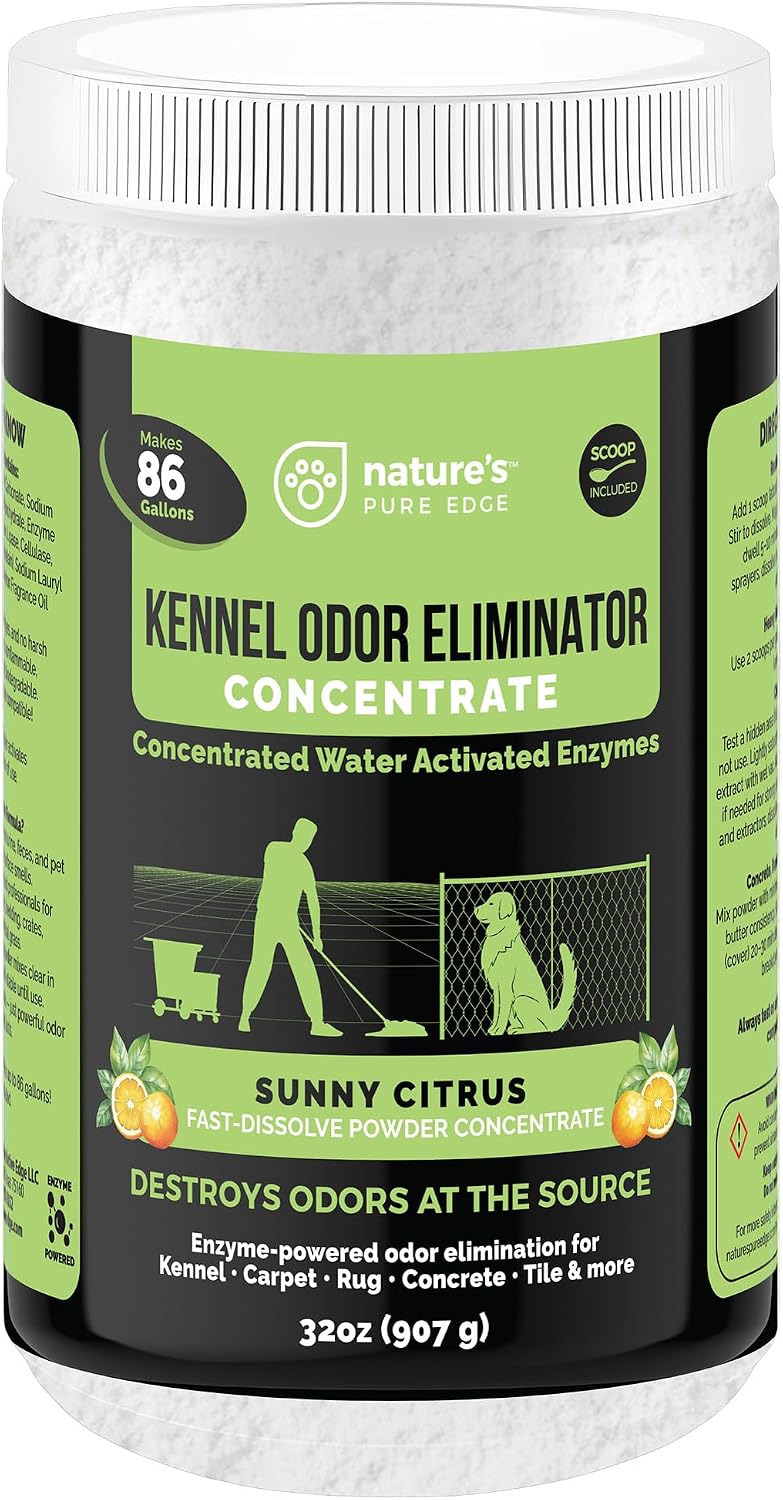 Enzyme Powder Concentrate, Sunny Citrus