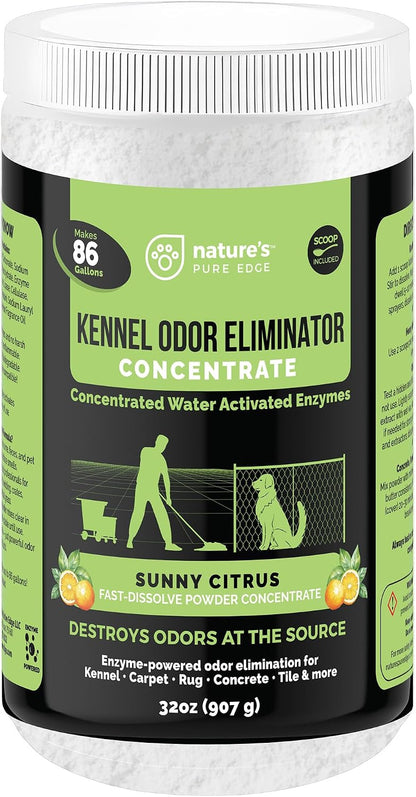 Enzyme Powder Concentrate, Sunny Citrus