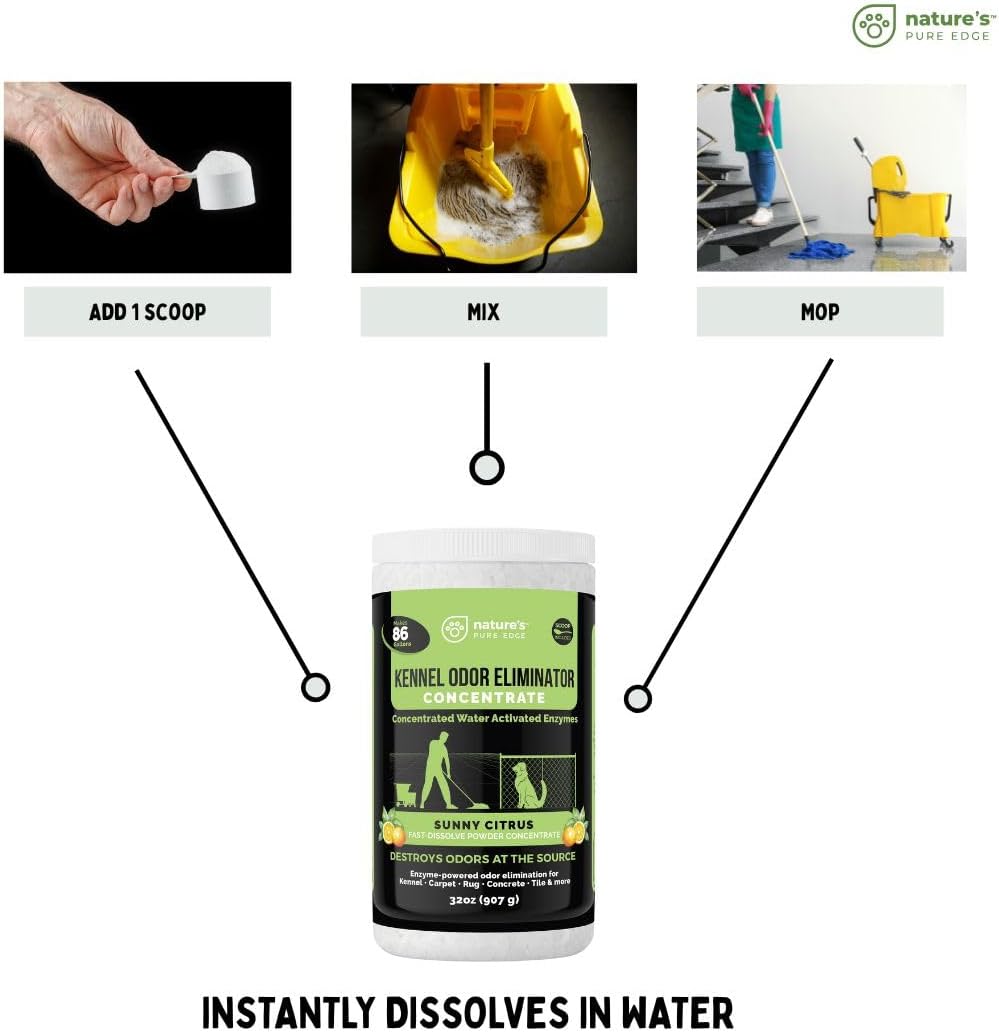 Enzyme Powder Concentrate, Sunny Citrus