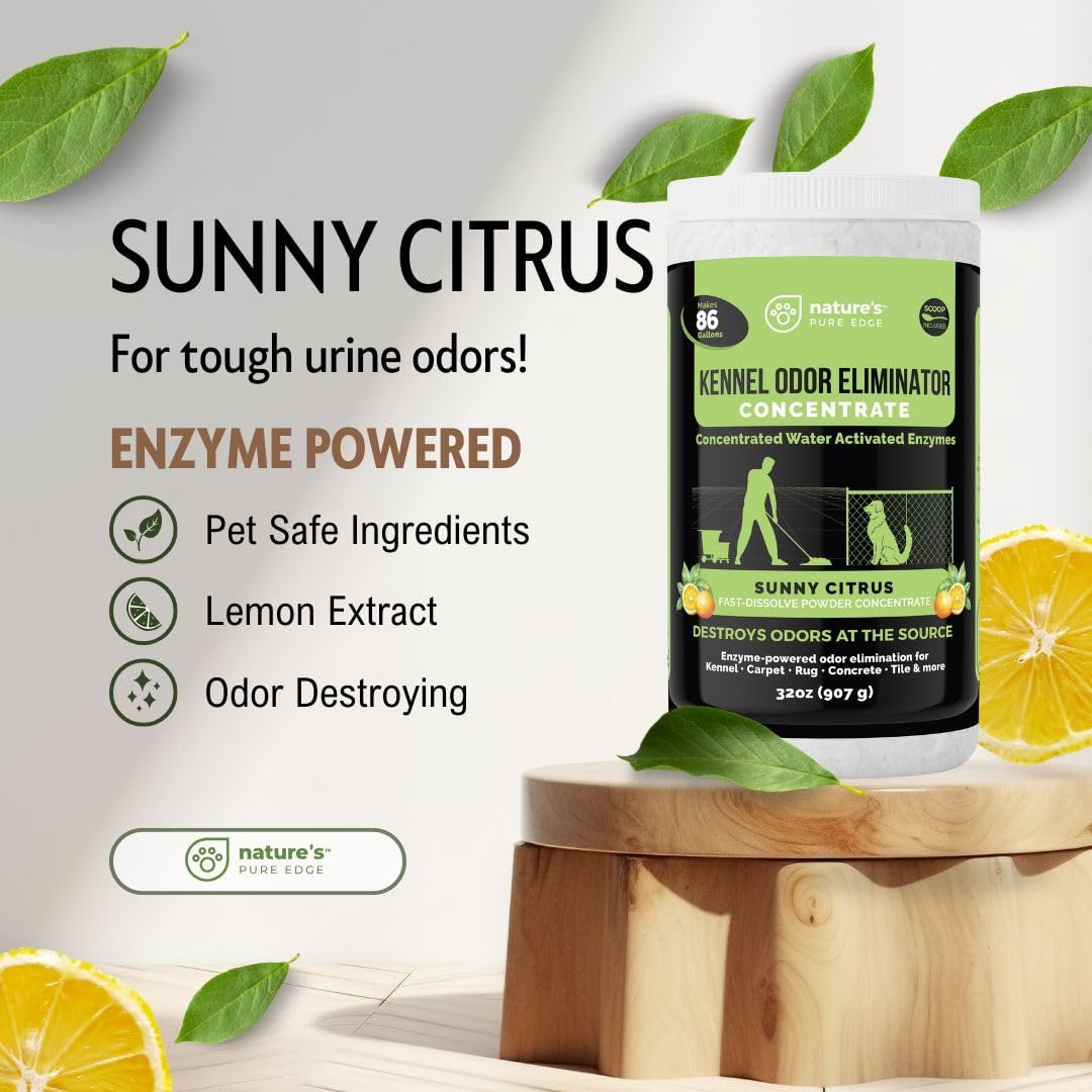 Enzyme Powder Concentrate, Sunny Citrus