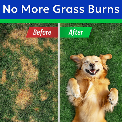 Green Grass Chews - Dog Pee Grass Spot Saver Caused by Dog Urine