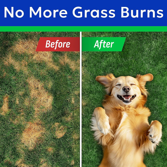 Green Grass Chews - Dog Pee Grass Spot Saver Caused by Dog Urine