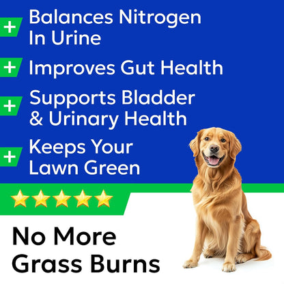 Green Grass Chews - Dog Pee Grass Spot Saver Caused by Dog Urine
