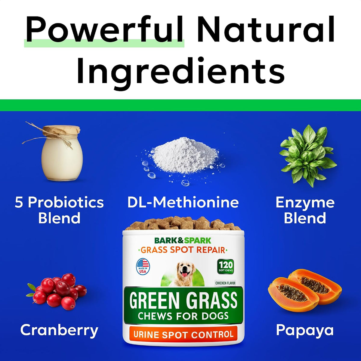 Green Grass Chews - Dog Pee Grass Spot Saver Caused by Dog Urine