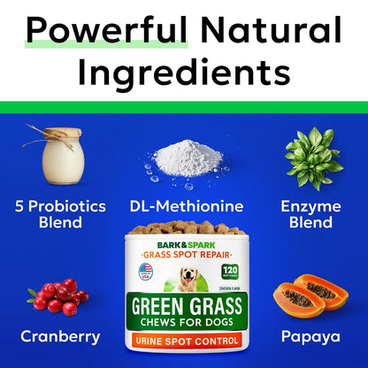 Green Grass Chews - Dog Pee Grass Spot Saver Caused by Dog Urine