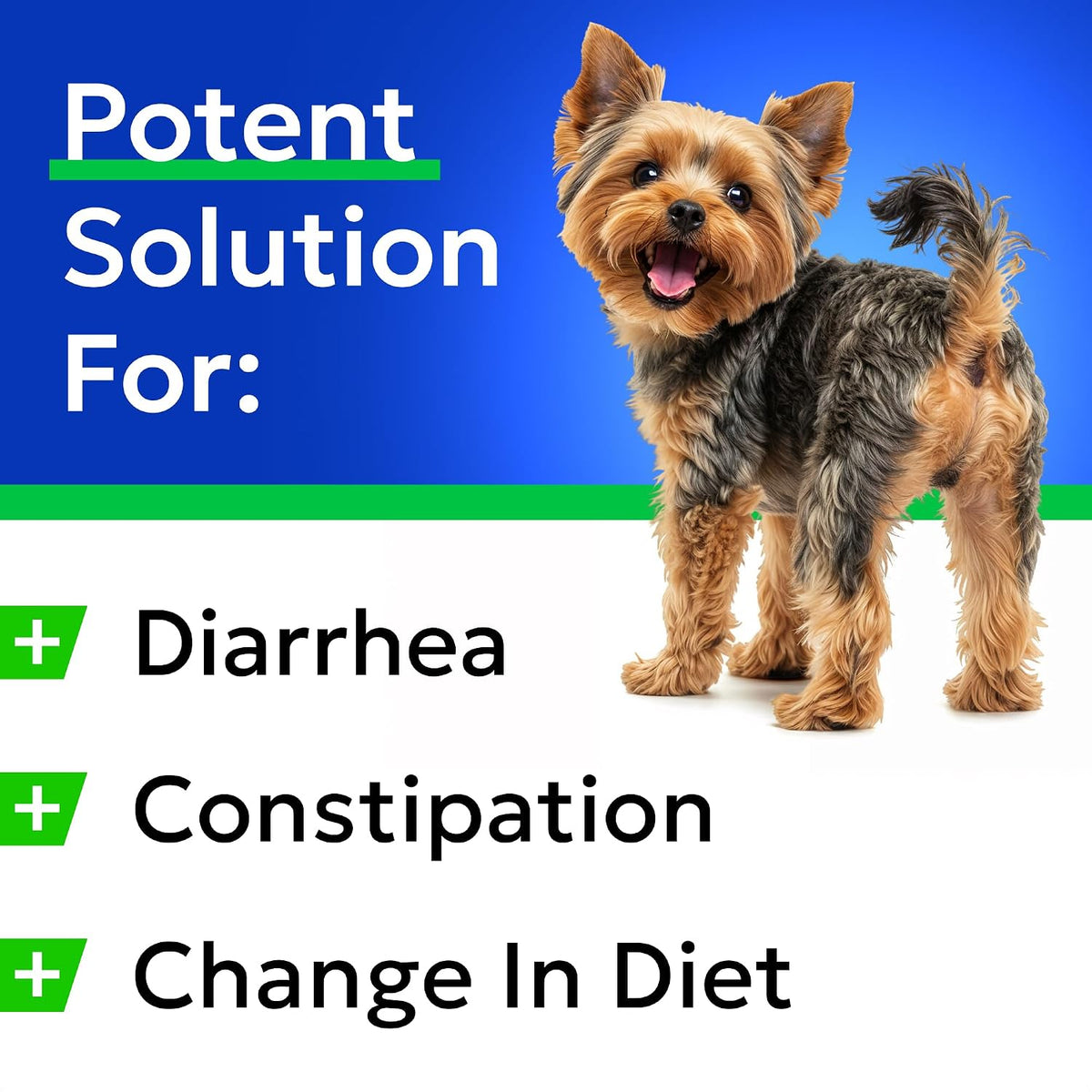 Green Grass Chews - Dog Pee Grass Spot Saver Caused by Dog Urine