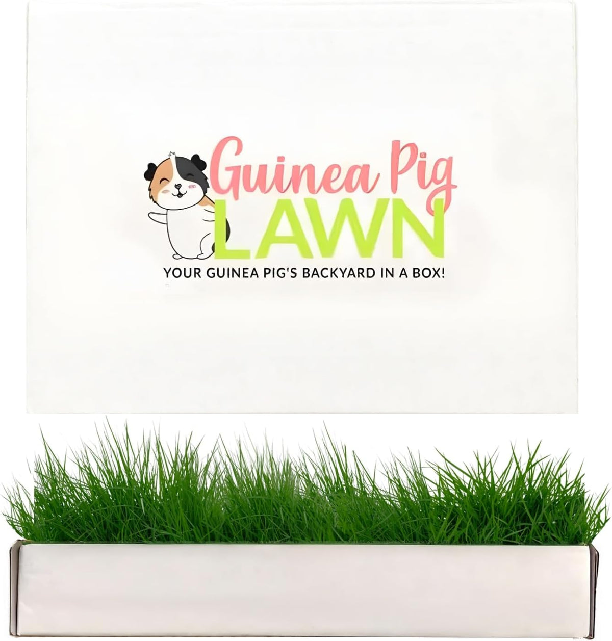 Guinea Pig Pee Pads, Fresh Grass Mat, Hamster Small Pet Bed 12x9