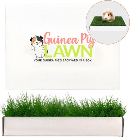 Guinea Pig Pee Pads, Fresh Grass Mat, Hamster Small Pet Bed 12x9